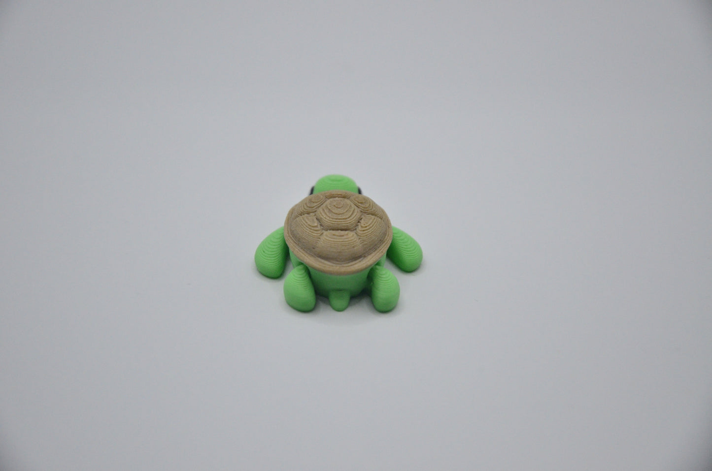 Tortuga