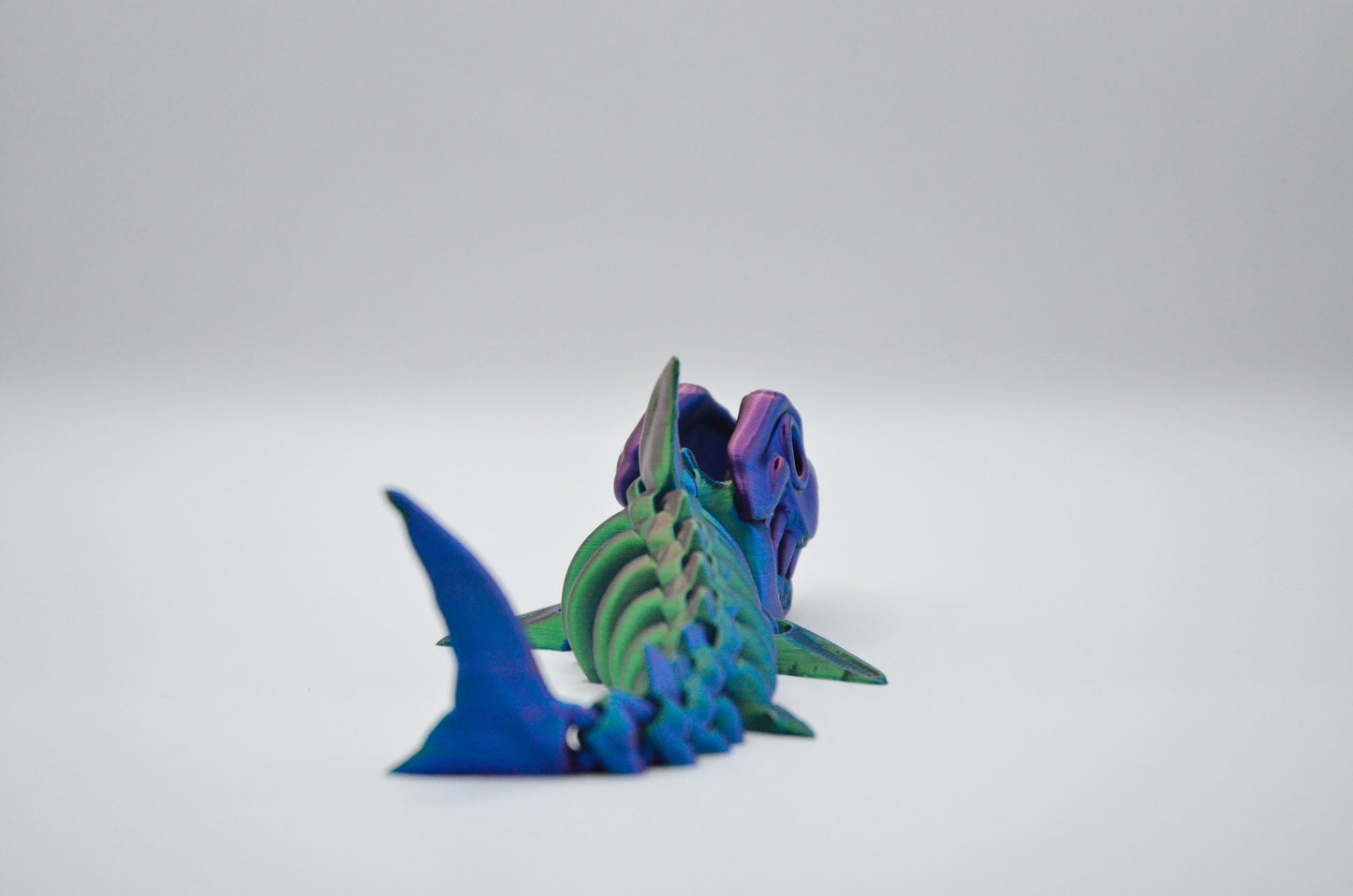 Megalodon