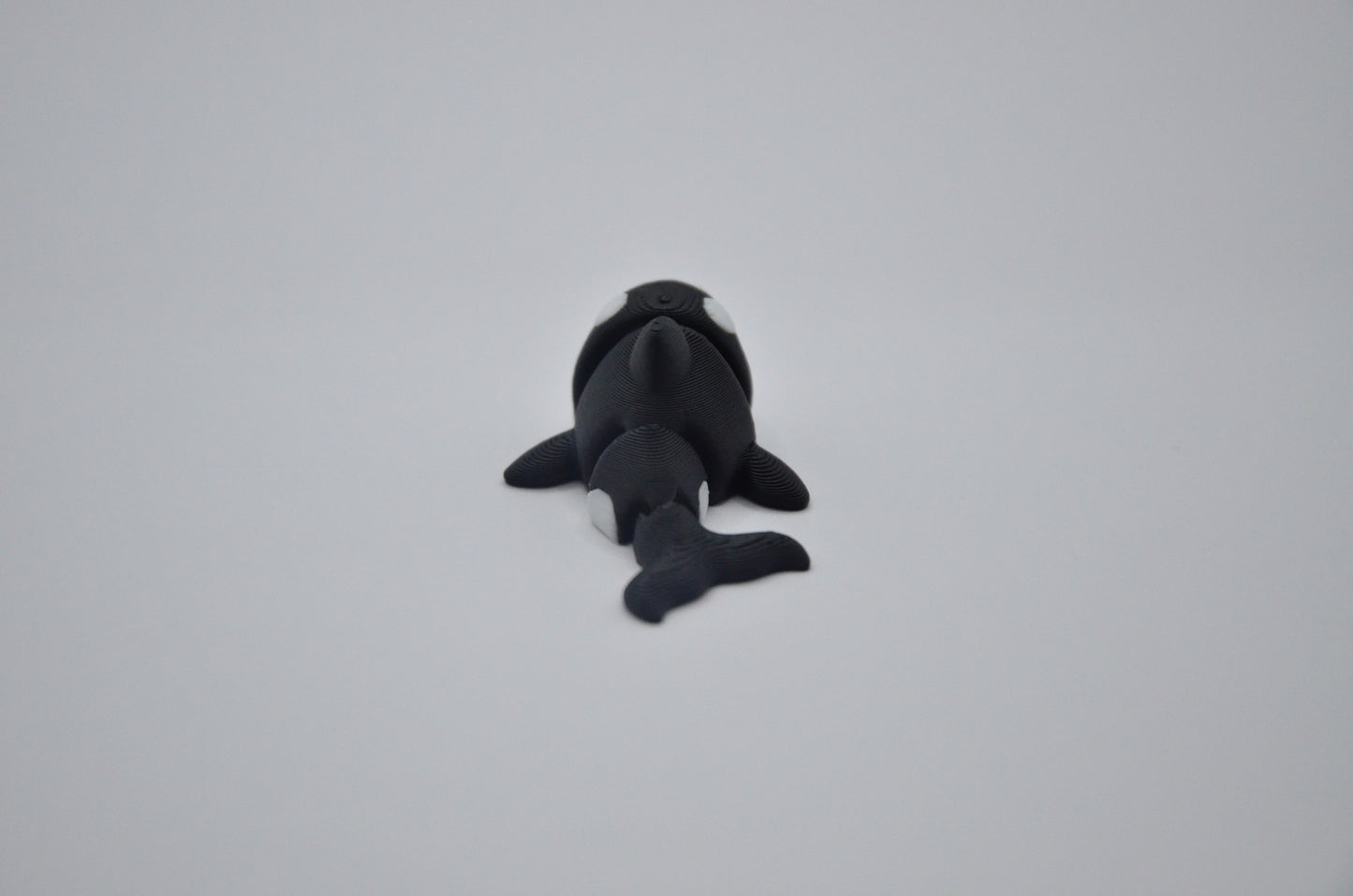 Orca