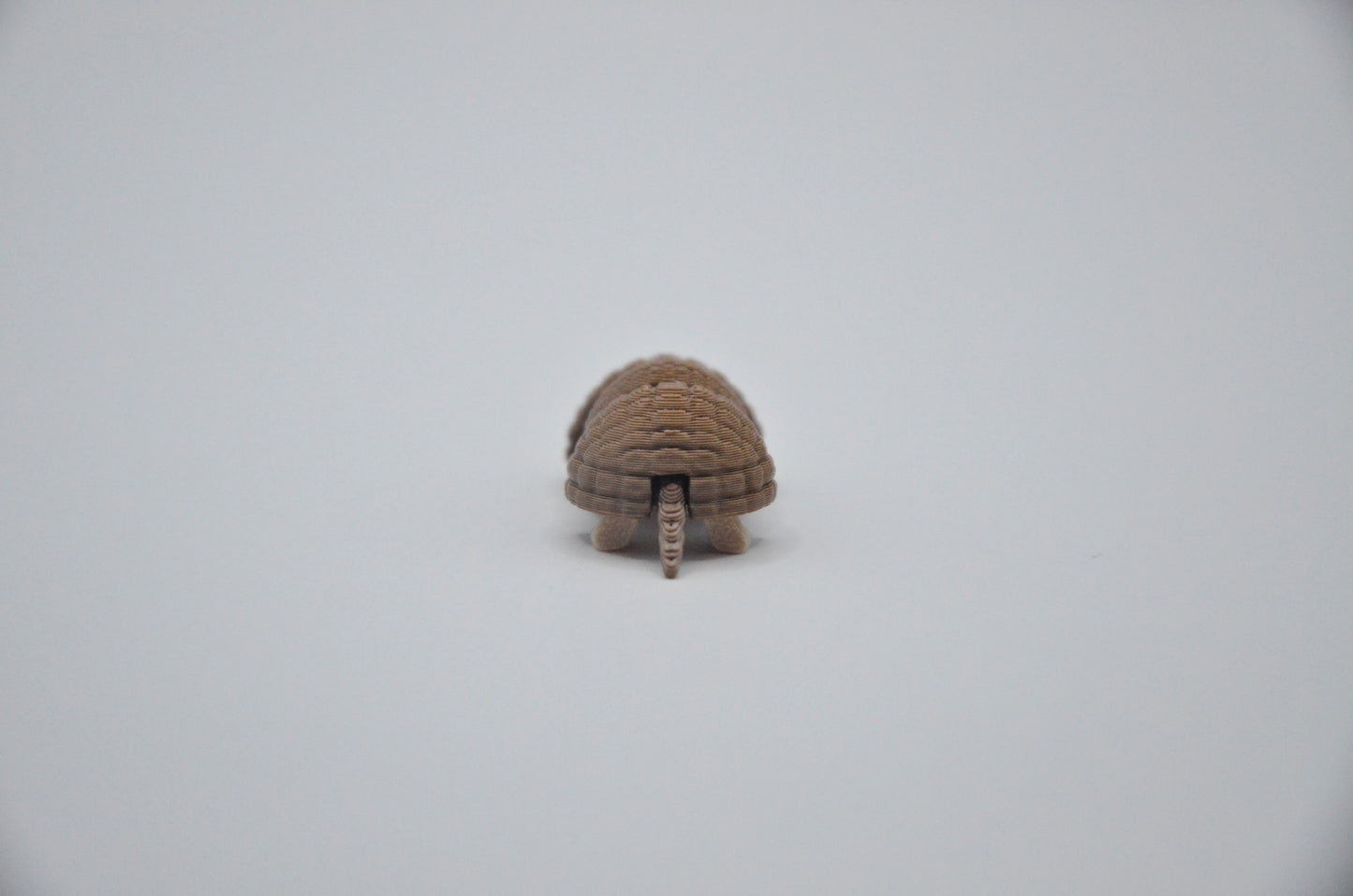 Armadillo