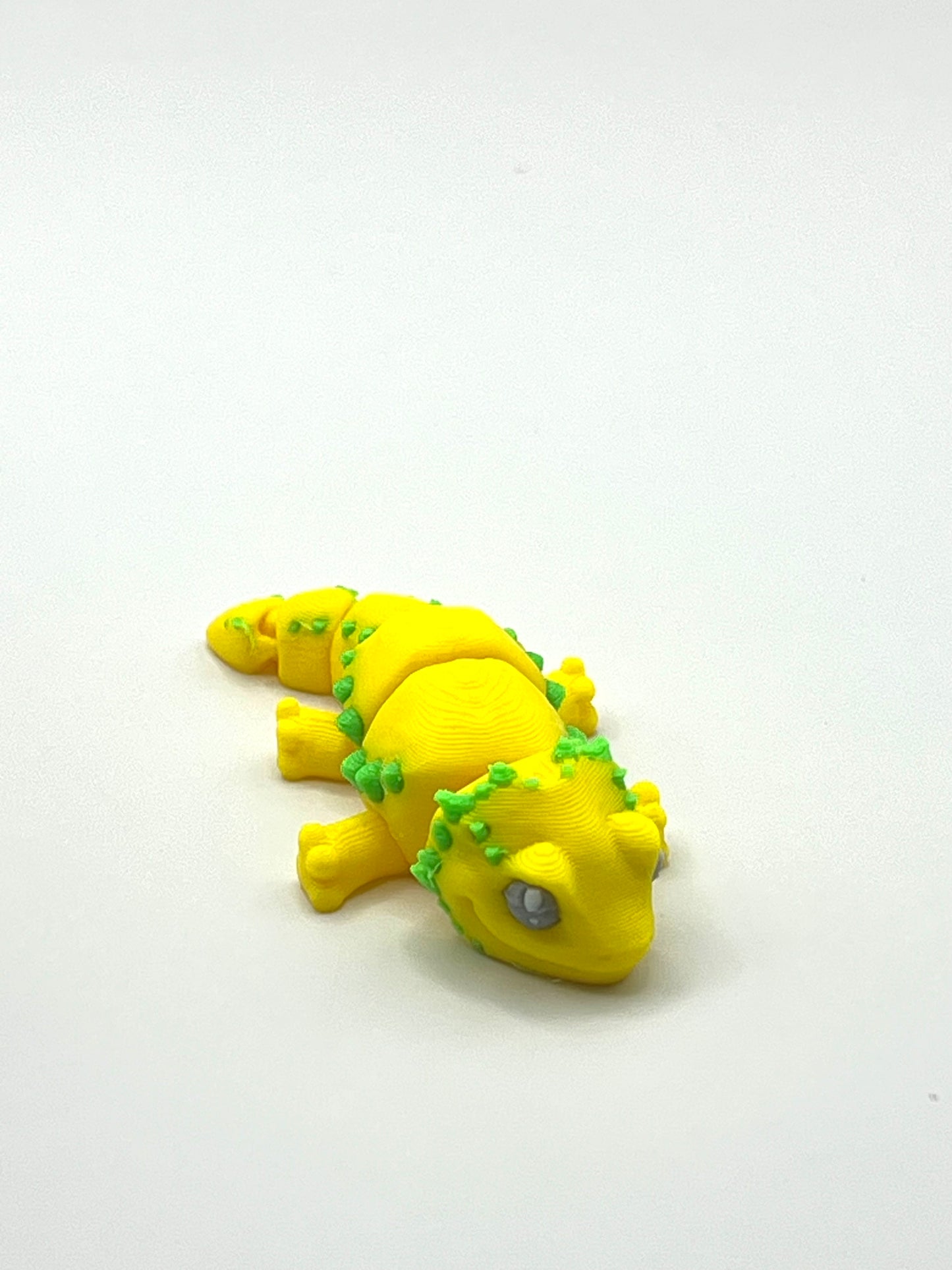 Dragón Barbudo