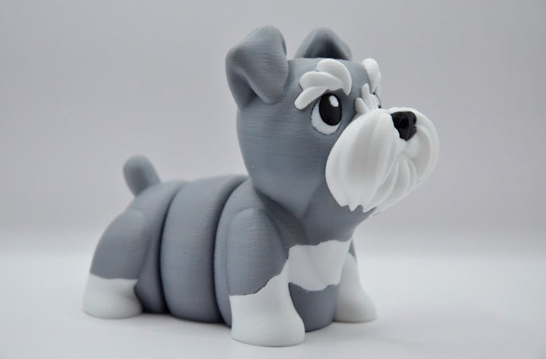Schnauzer gris