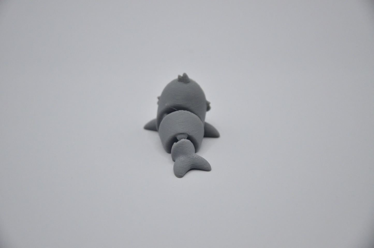Foca
