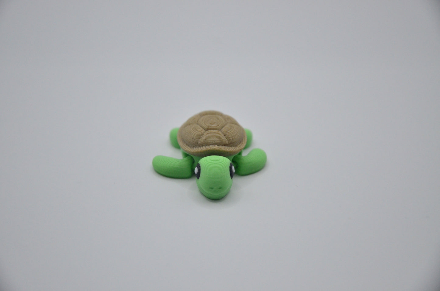 Tortuga