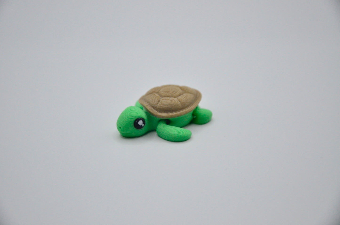 Tortuga