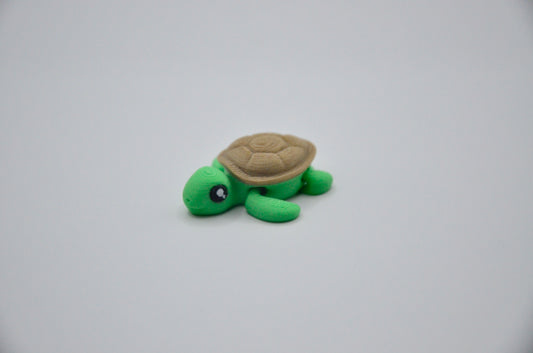 Tortuga