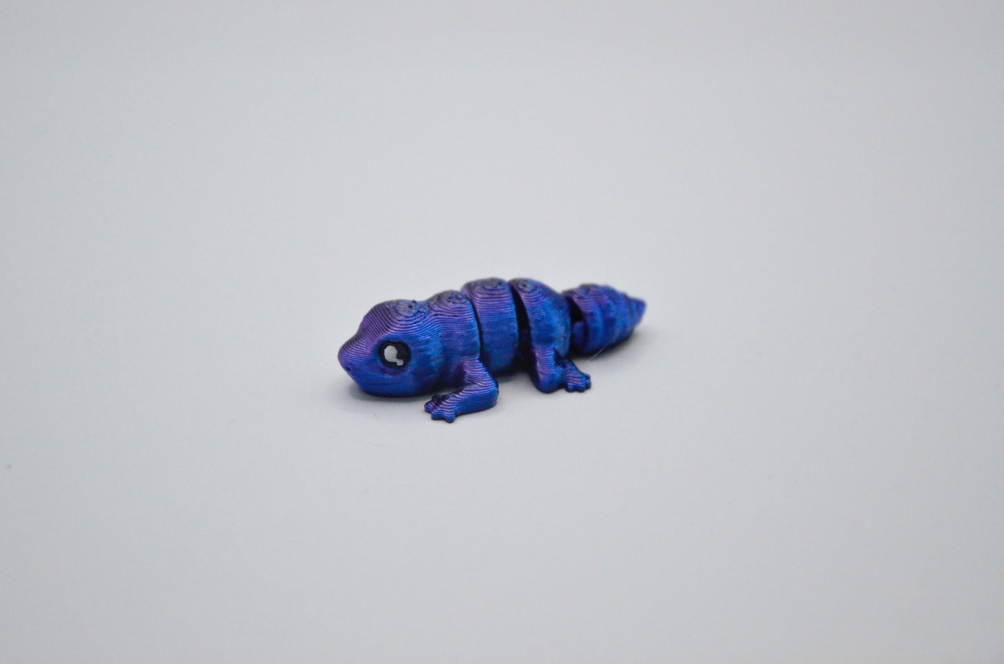 Gecko