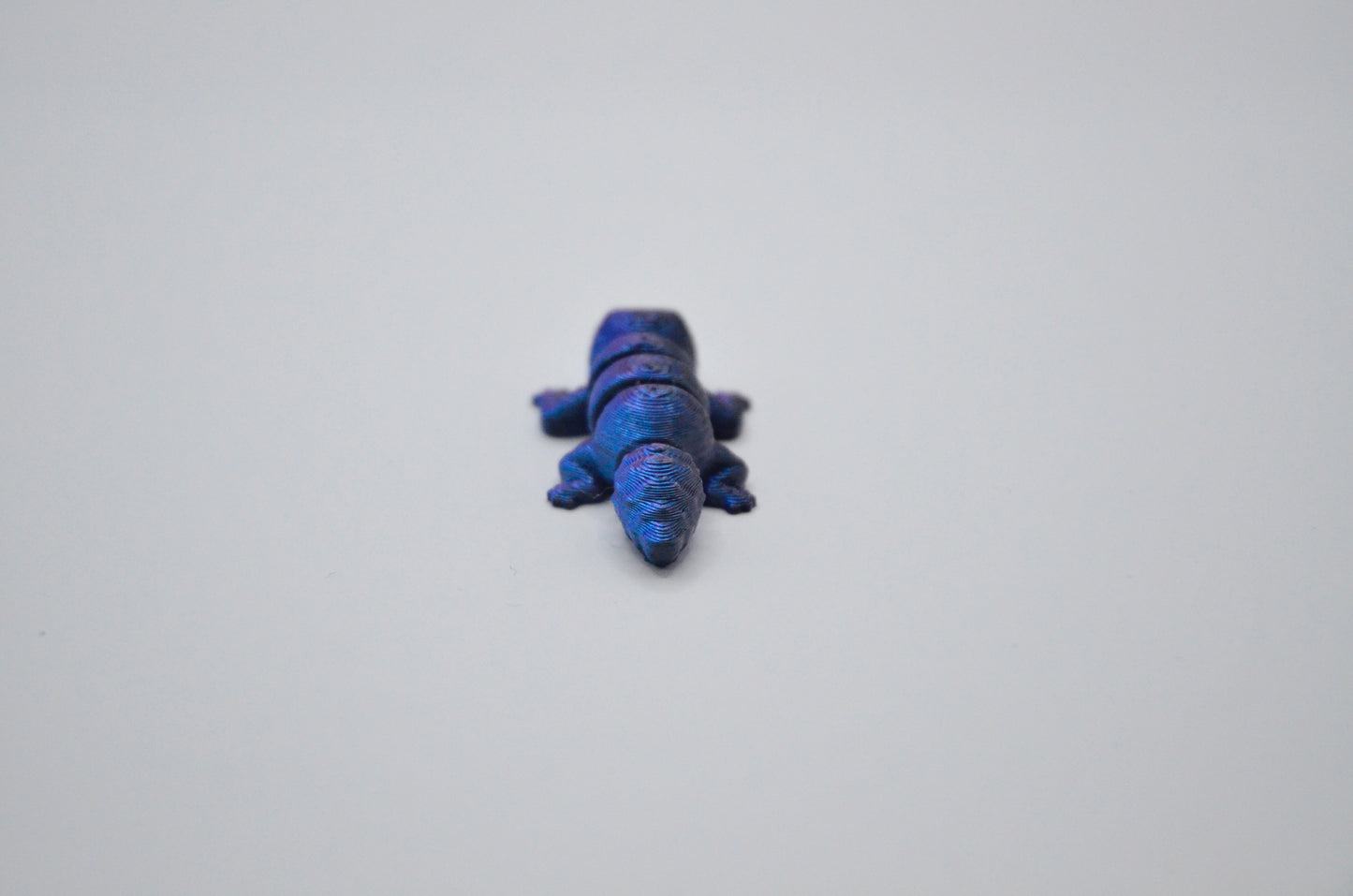 Gecko