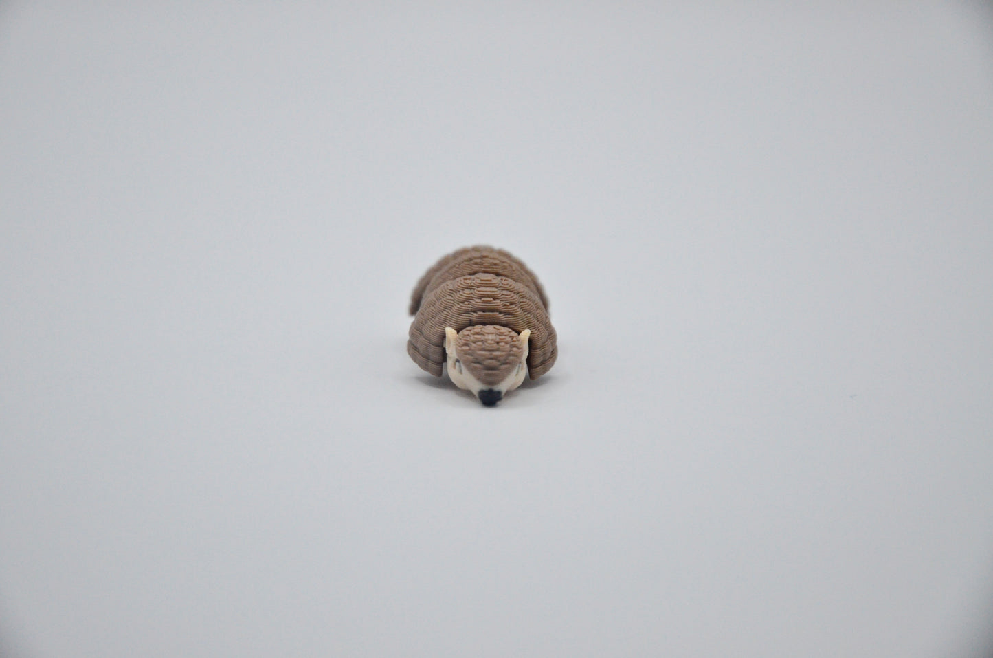 Armadillo