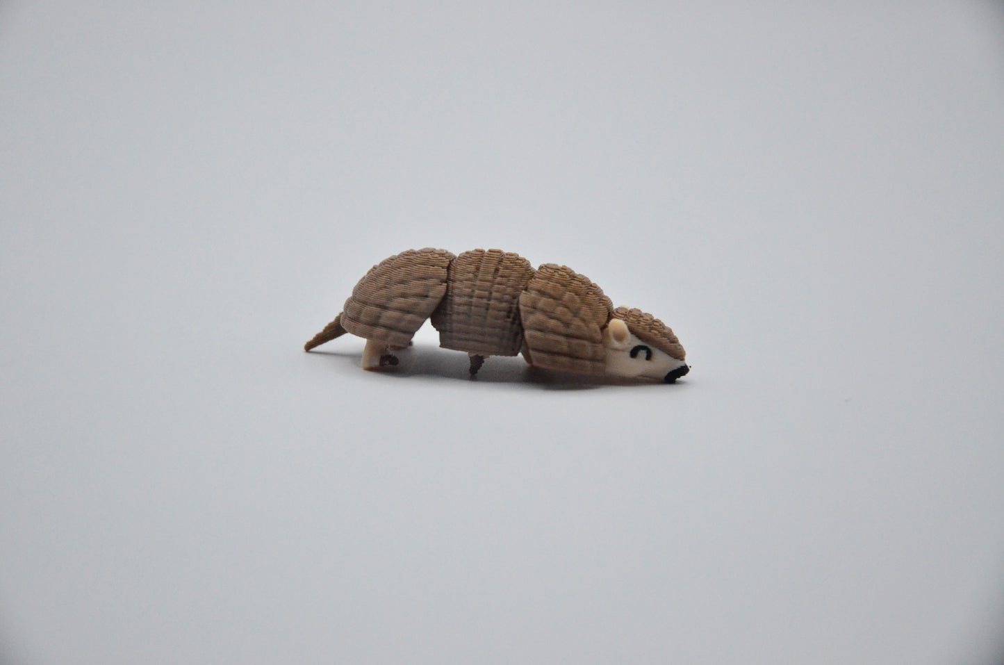 Armadillo