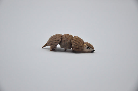 Armadillo