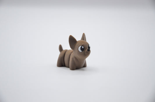 Chihuahua