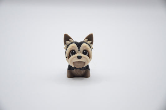 Yorkshire terrier