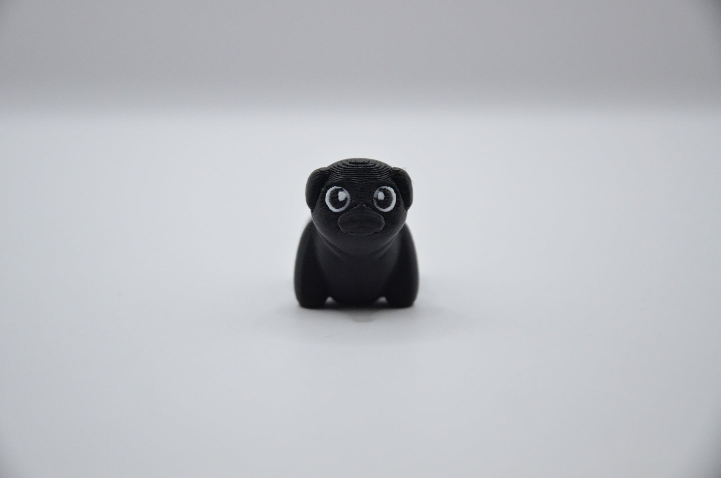 Pug