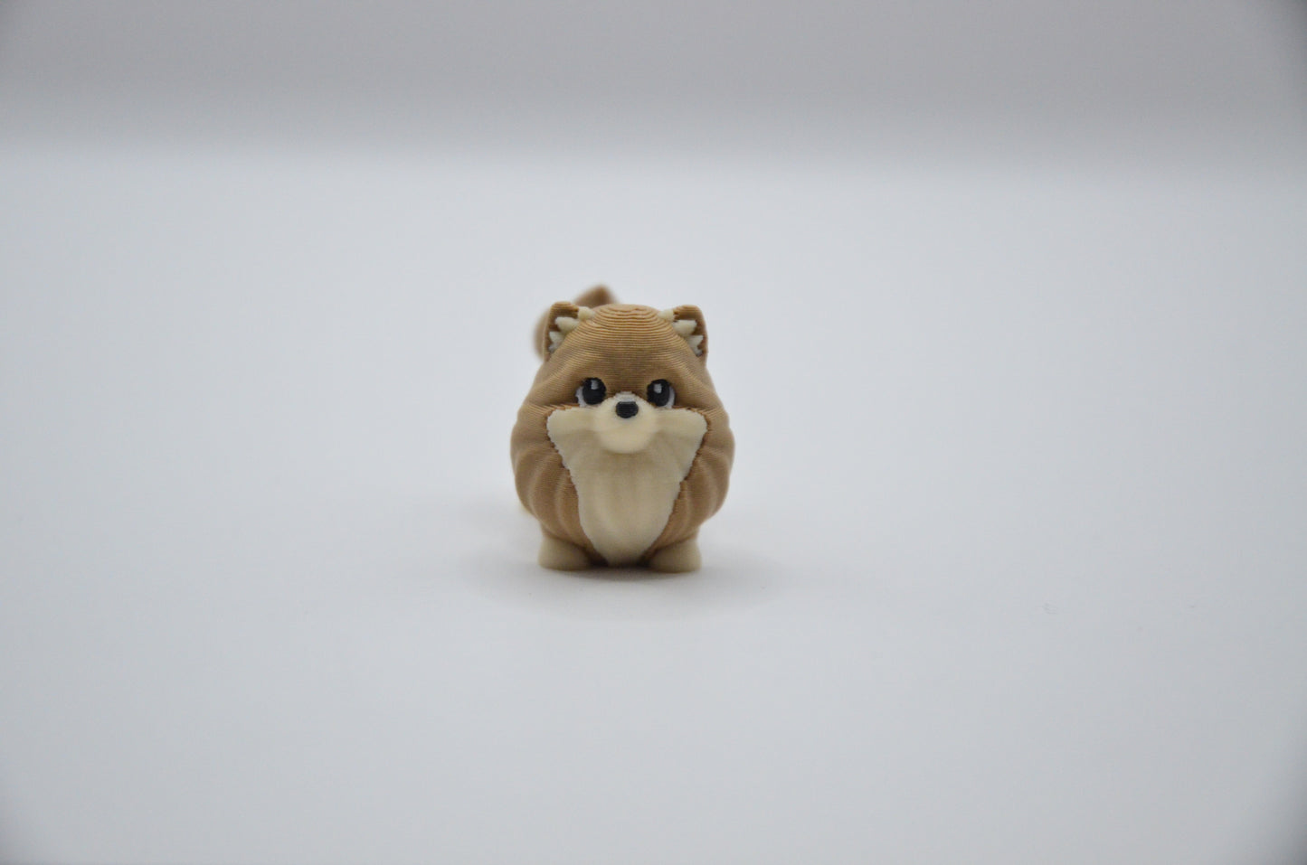 Pomeranian