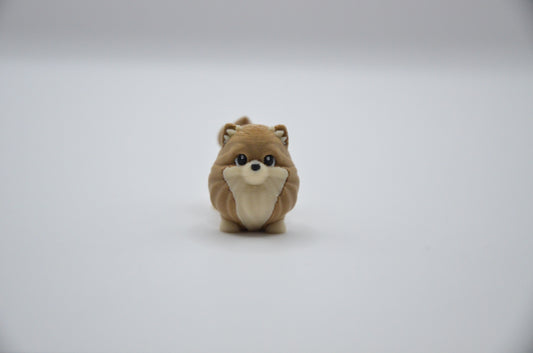 Pomeranian