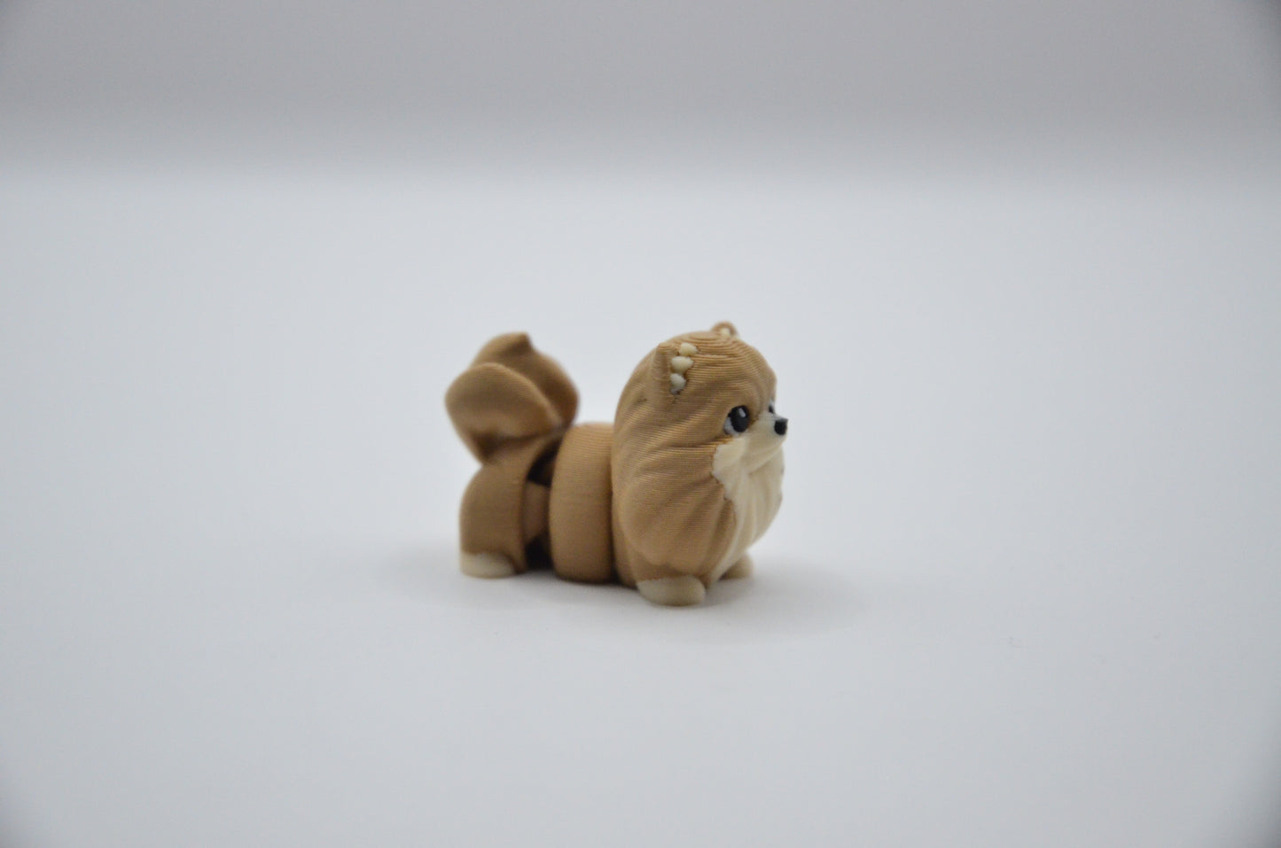 Pomeranian