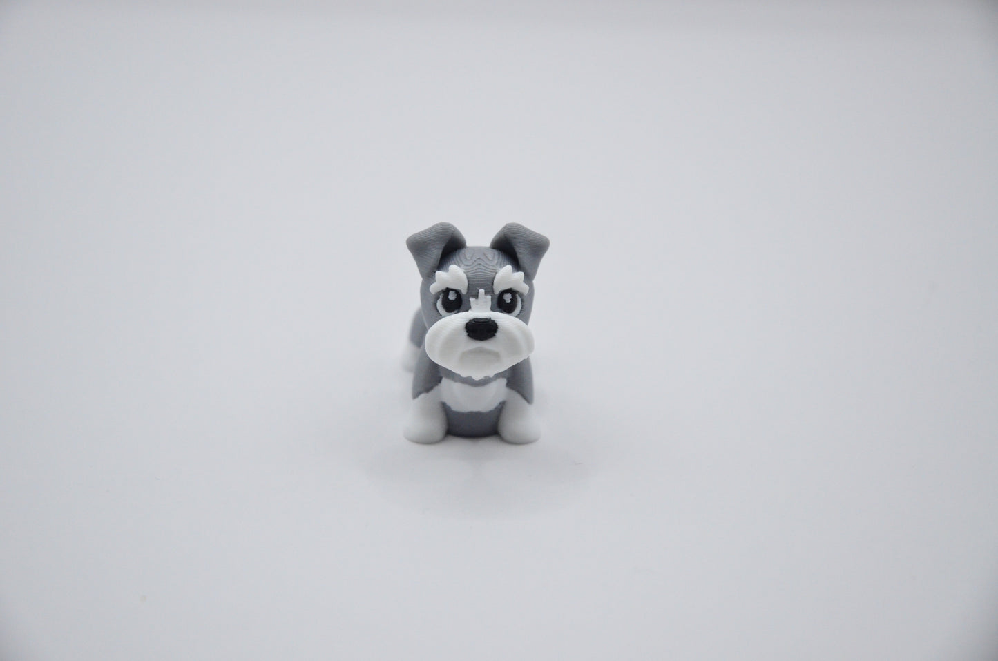 Schnauzer