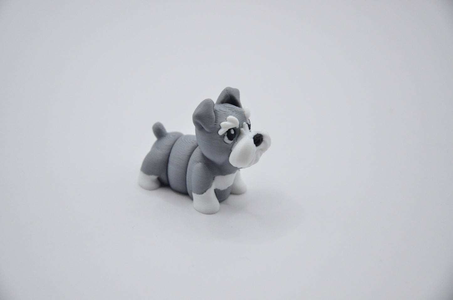 Schnauzer