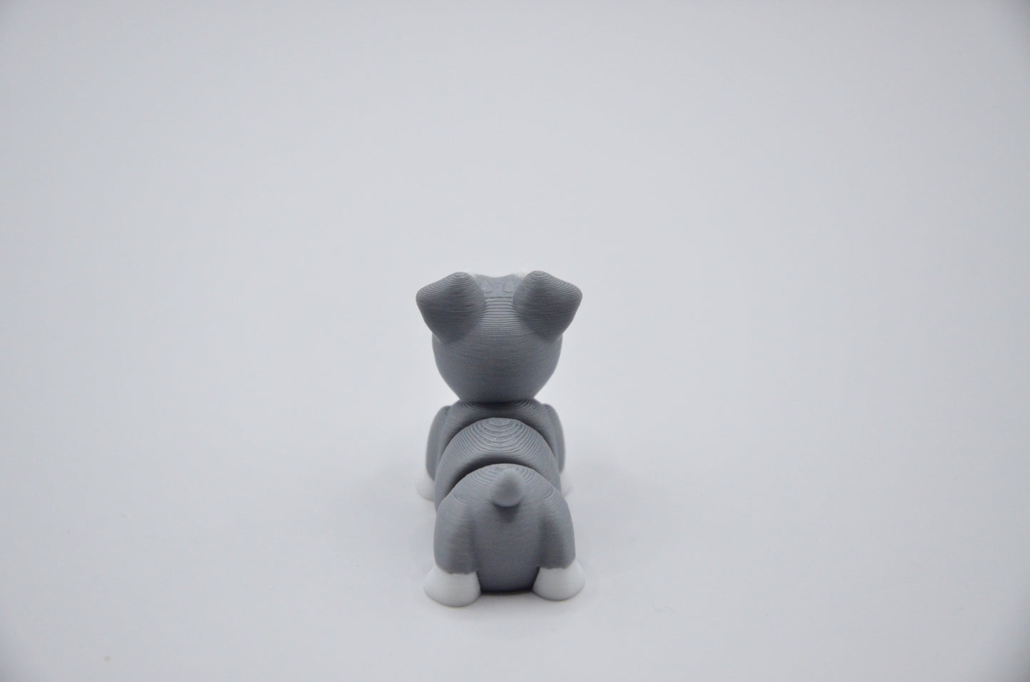 Schnauzer