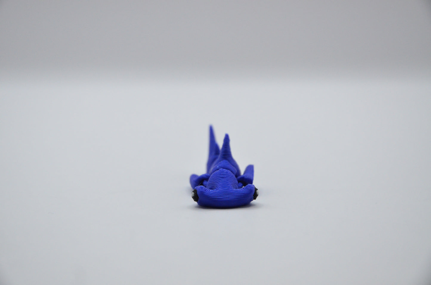 Tiburón Martillo