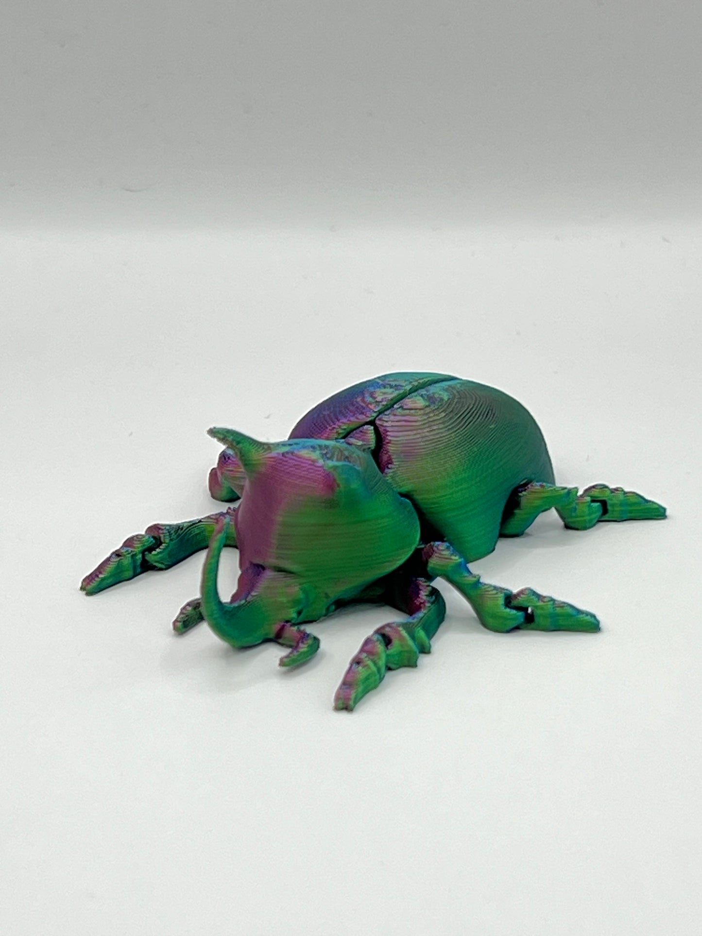 Escarabajo