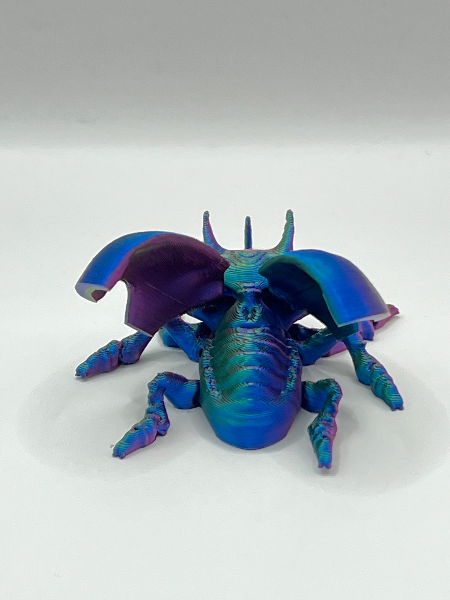 Escarabajo