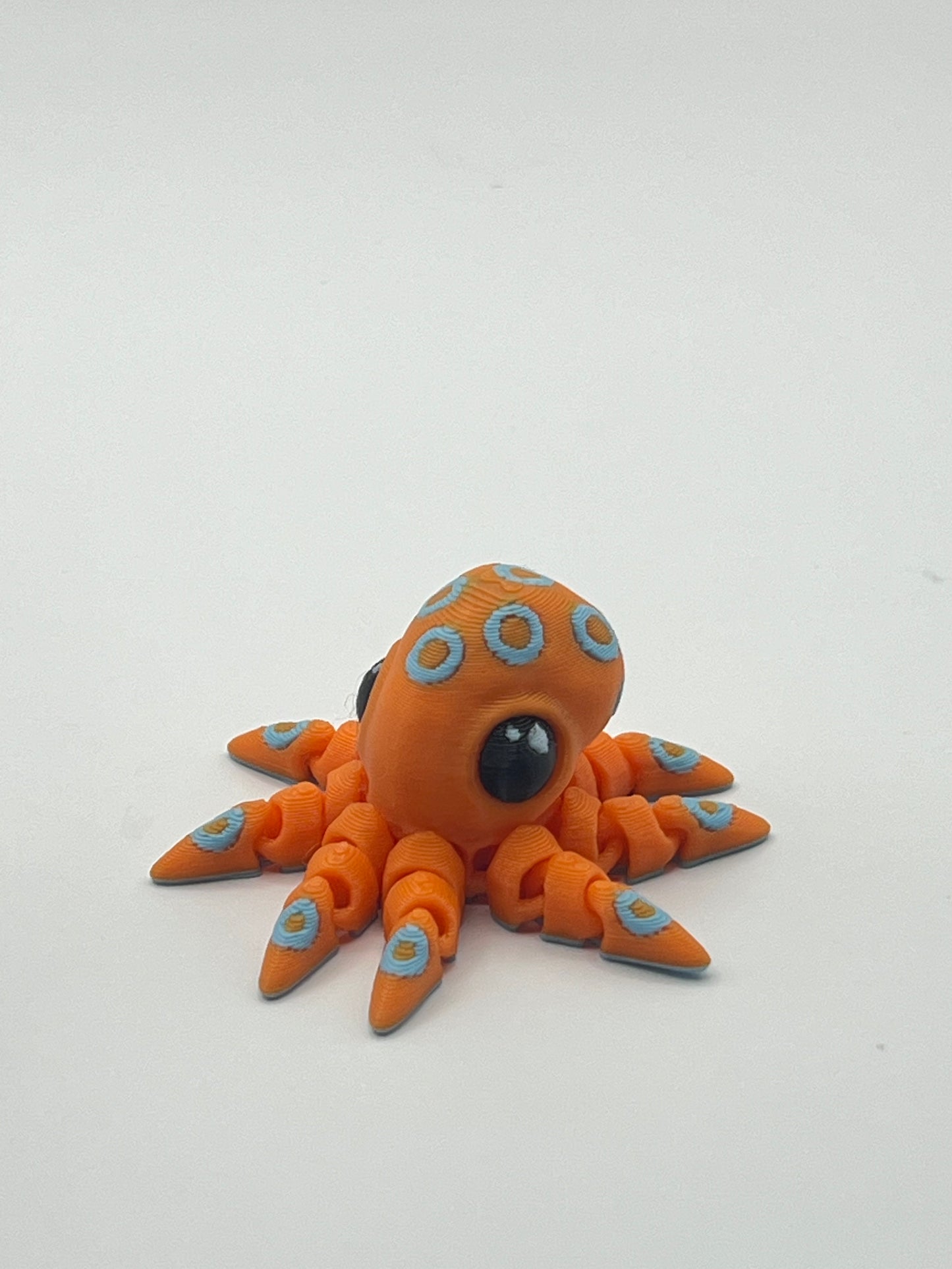 Pulpo