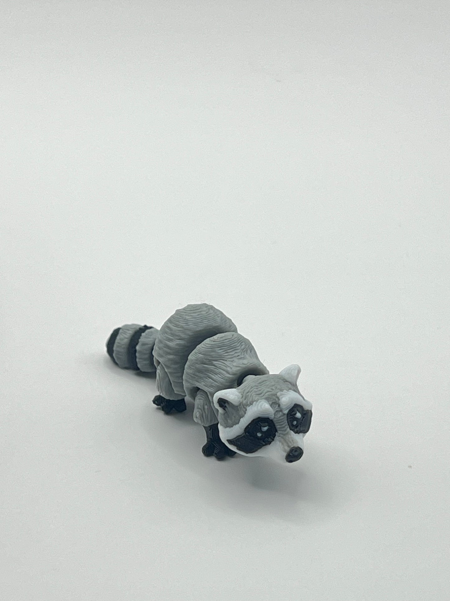 Mapache