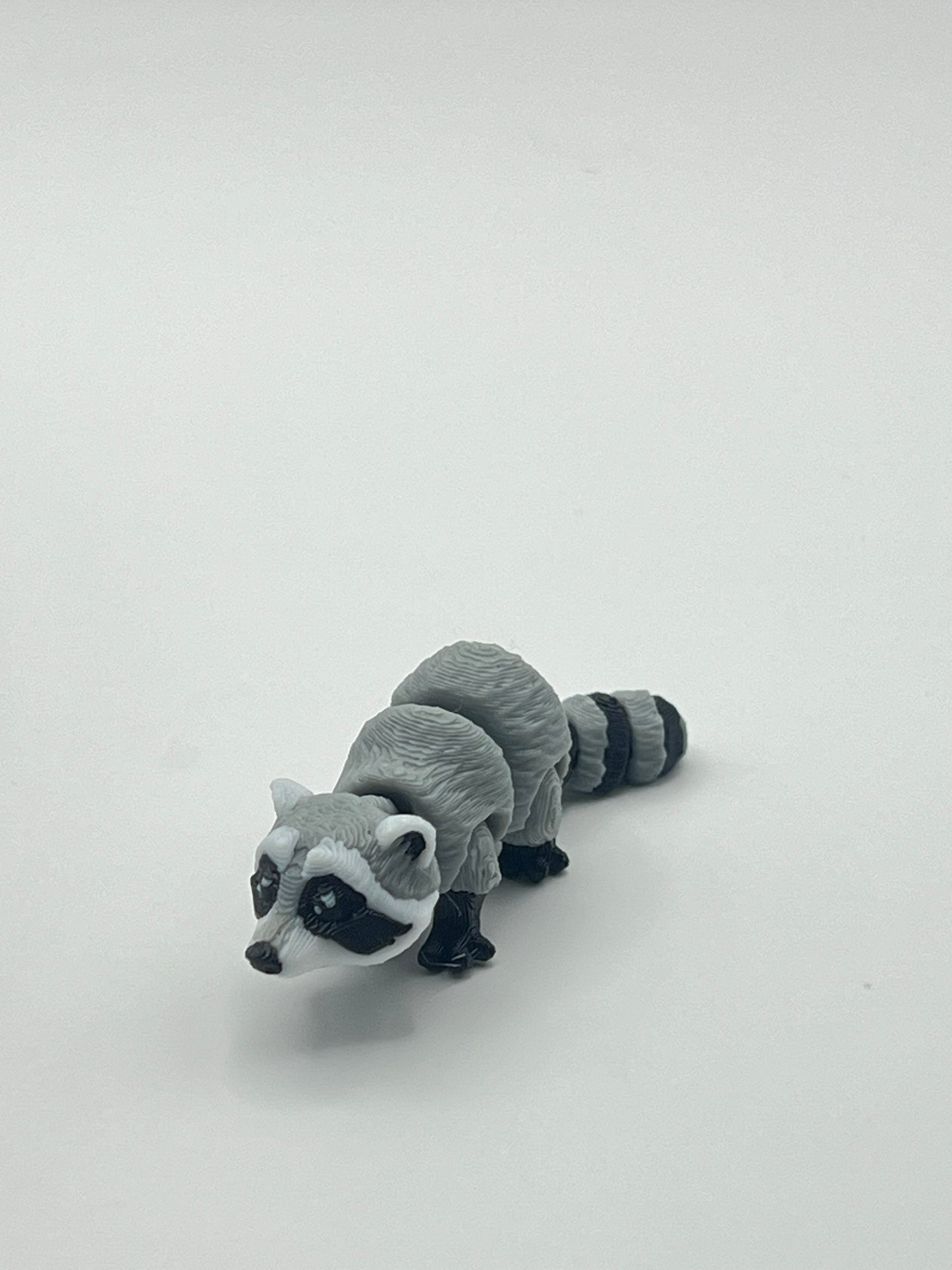 Mapache
