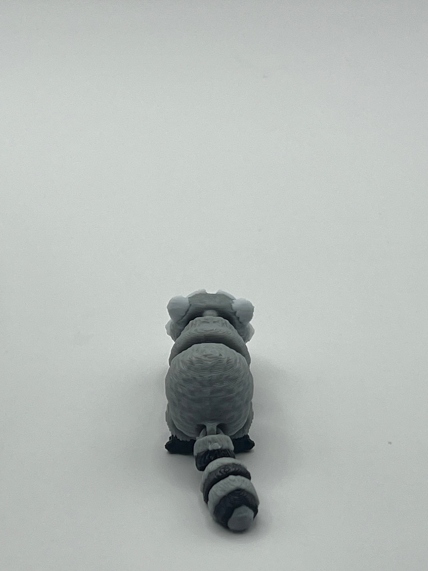 Mapache