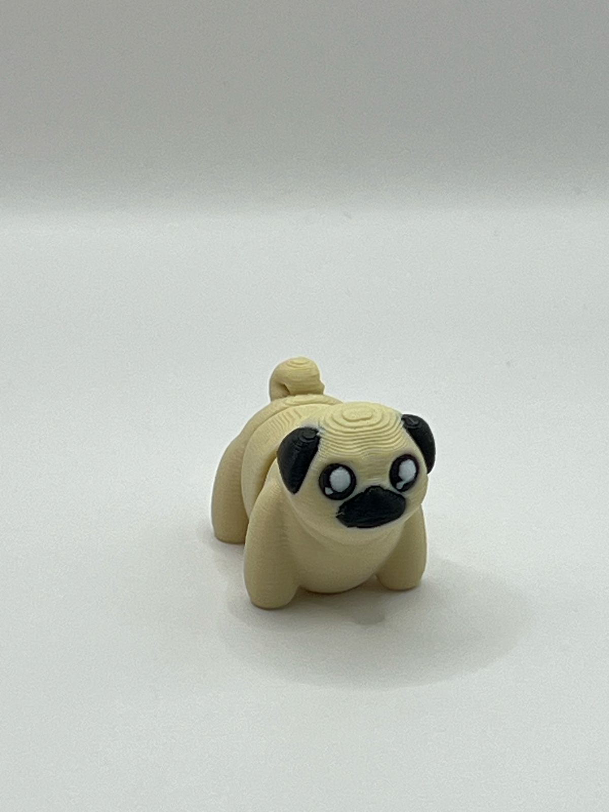 Pug