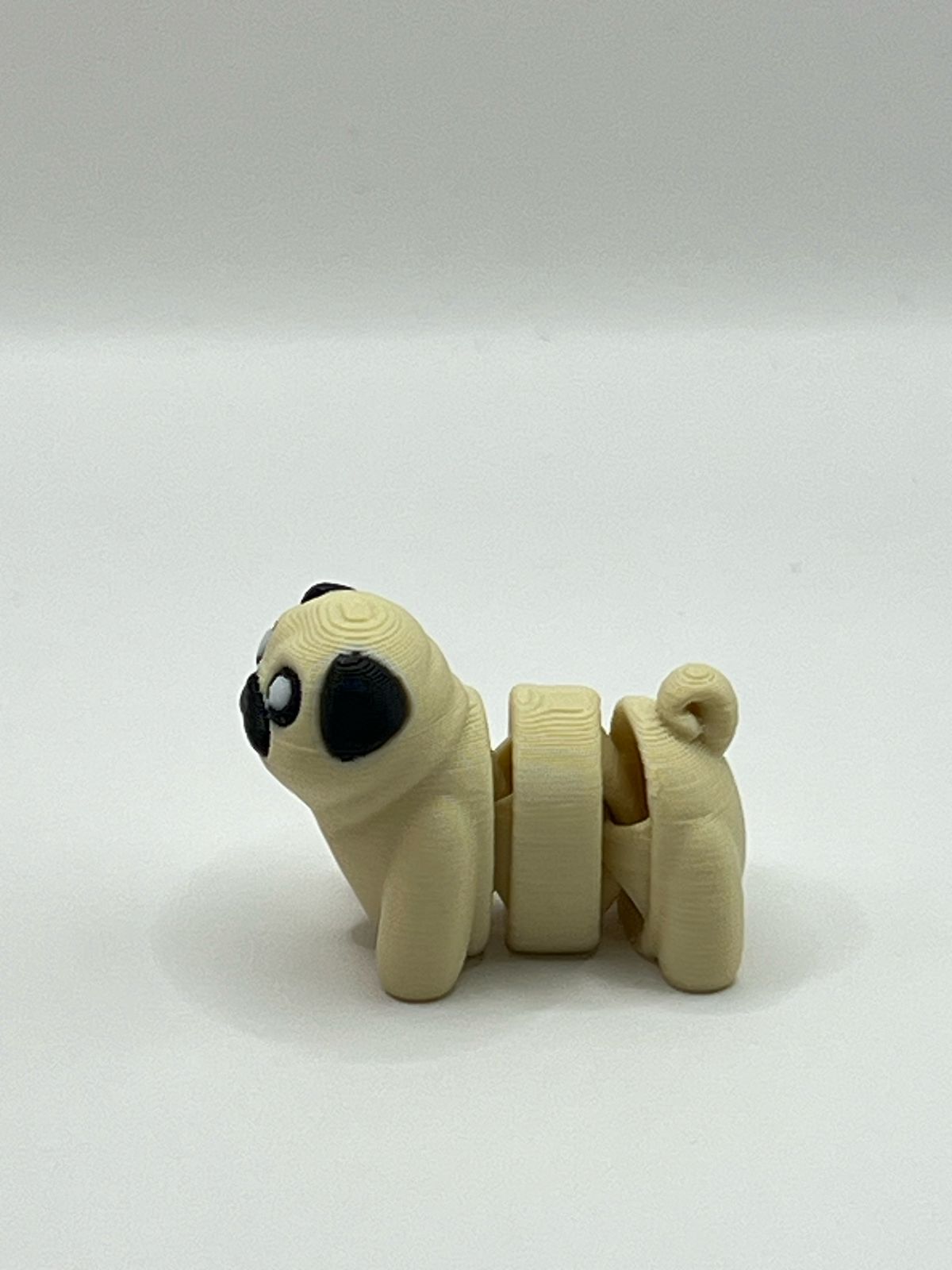 Pug