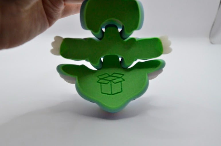 Ajolote Arcoíris Caja Studio