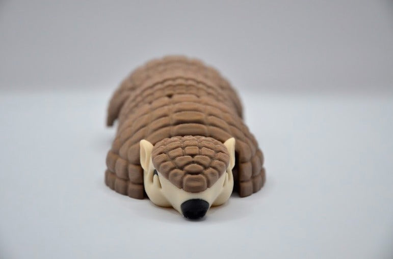 Armadillo