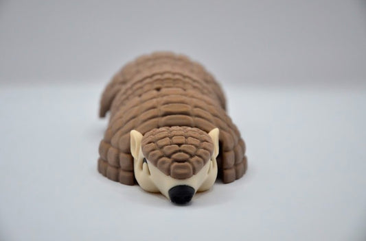 Armadillo