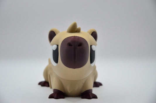Capibara