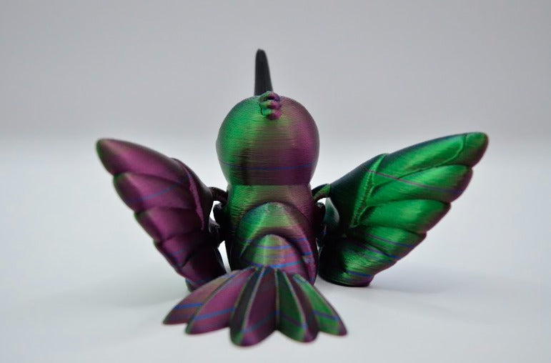 Colibrí Caja Studio