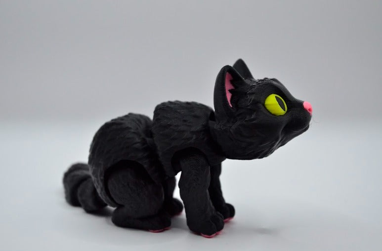 Gato negro realista
