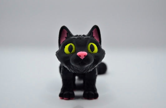 Gato negro realista