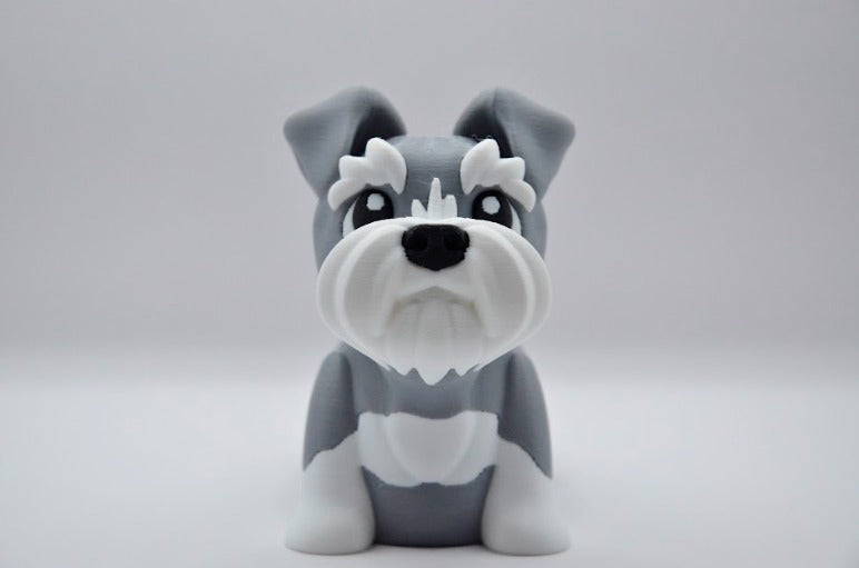 Schnauzer gris