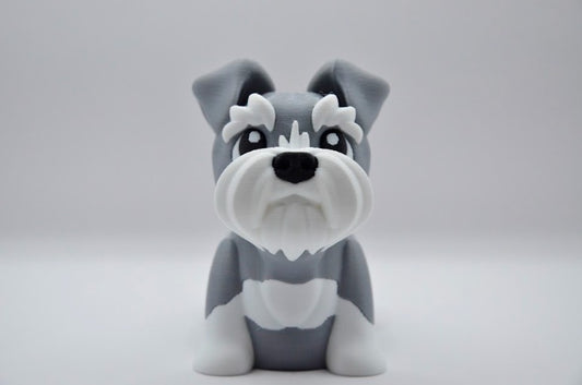 Schnauzer gris
