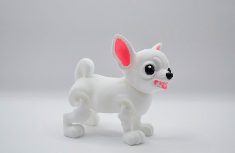 Chihuahua blanco furioso