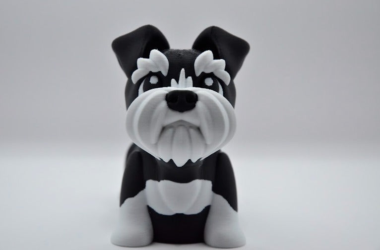 Schnauzer negro