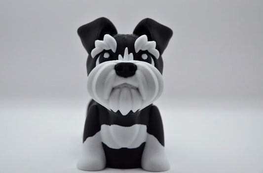 Schnauzer negro