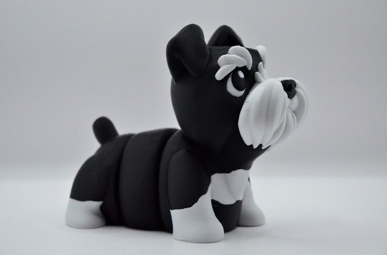 Schnauzer negro